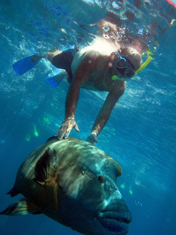 Cairns Grande Barriere de Corail