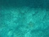 Cairns Grande Barriere de Corail