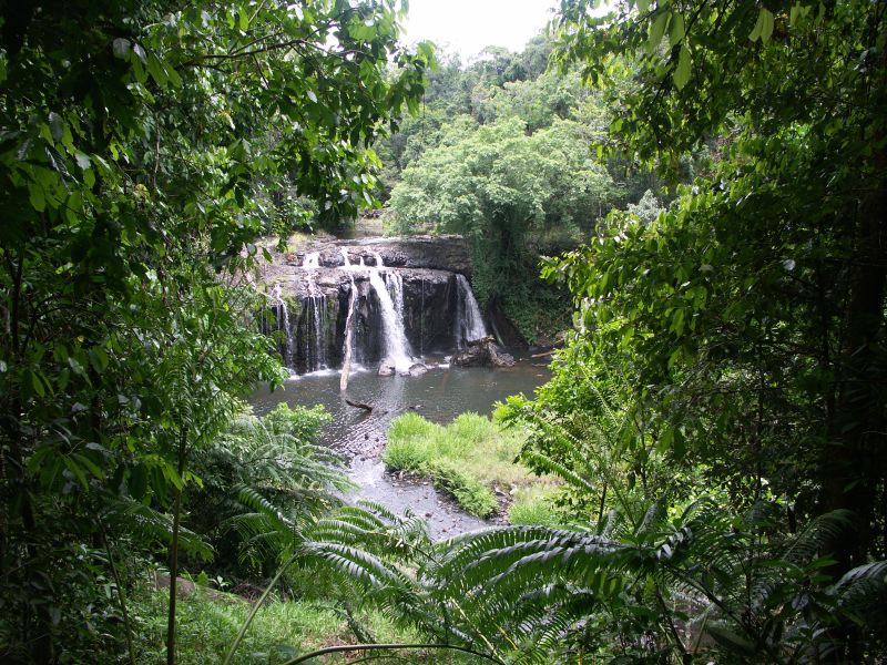 Palmerson Highway Wallicher Falls