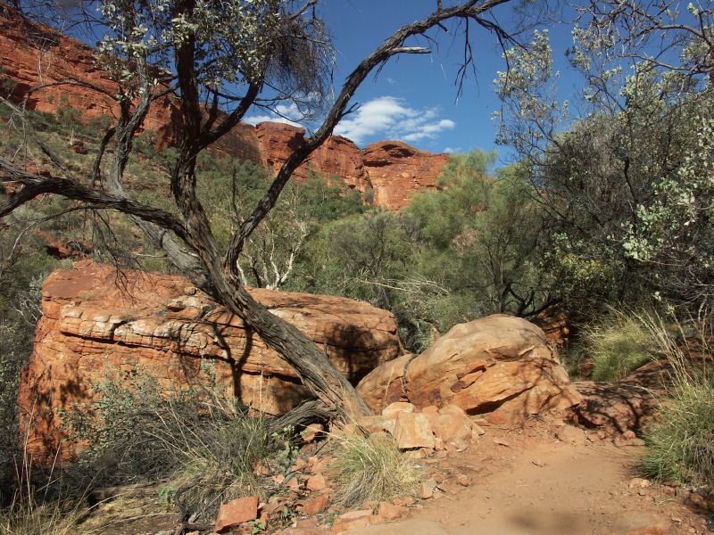 Kings canyon