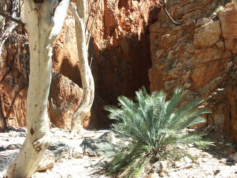 West MacDonnells Ranges 