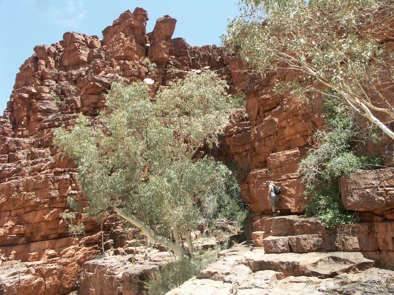 East MacDonnells Ranges