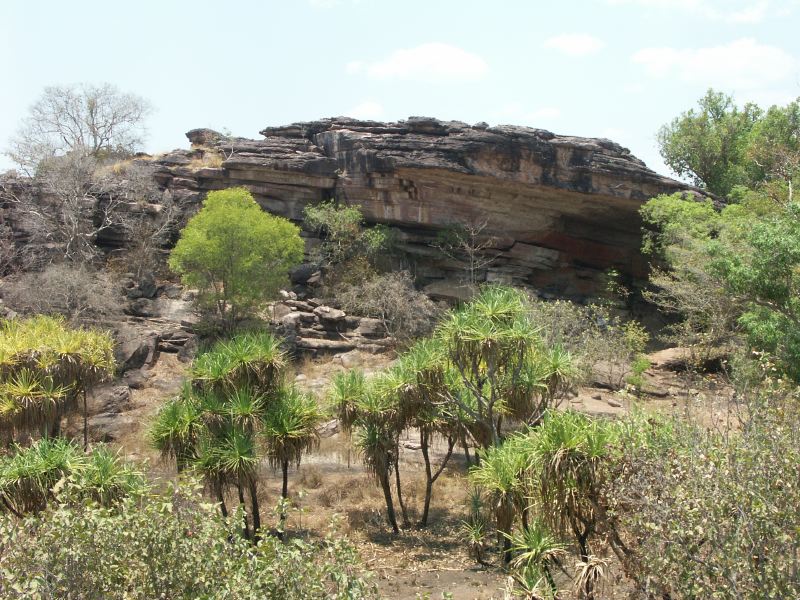 Kakadu - 34