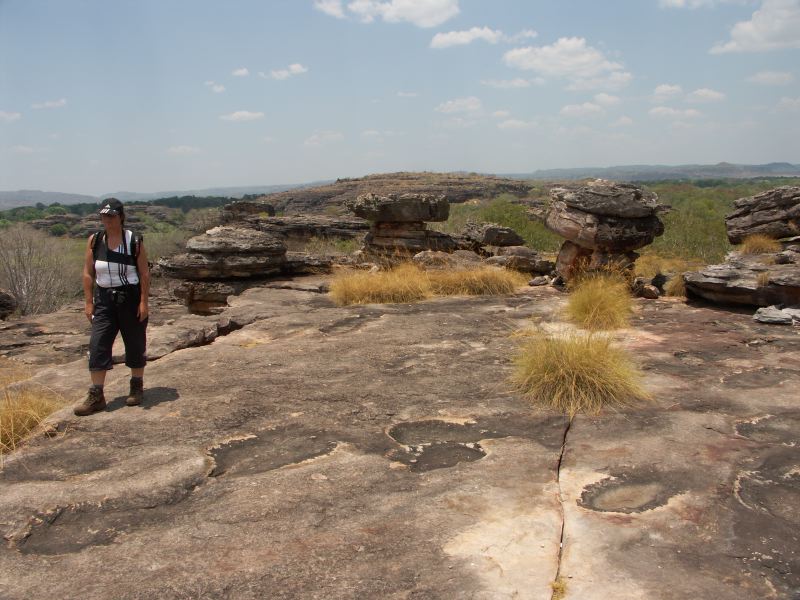 Kakadu - 32