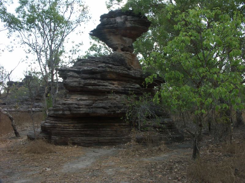 Kakadu - 13