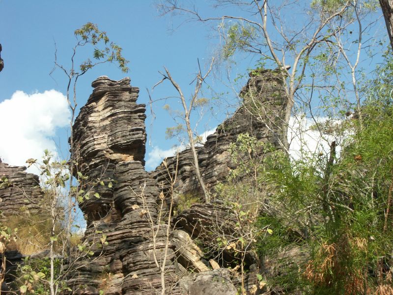 Kakadu - 20