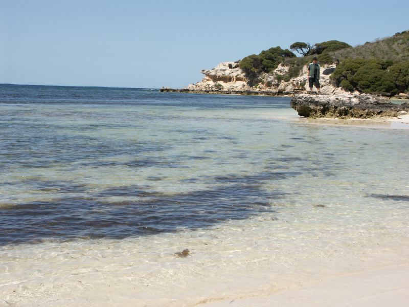 plage Rottnest Island