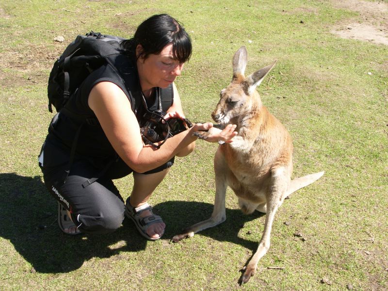 mon copain skippy