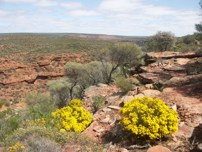 Kalbarri parc