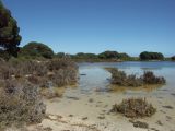 lagune Rottnest Island