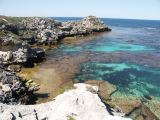 rottnest island