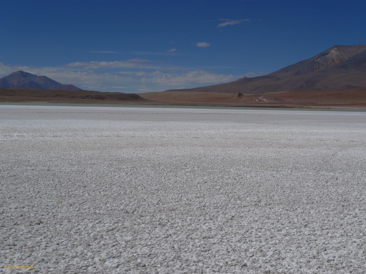 Bolivie Salar d'Uyuni la Laguna Honda  100