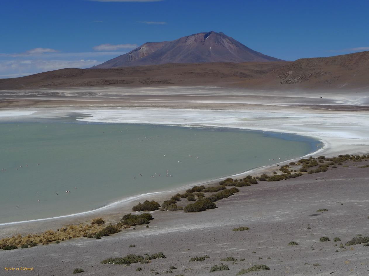 Bolivie Salar d'Uyuni la Laguna Ramaditas  100