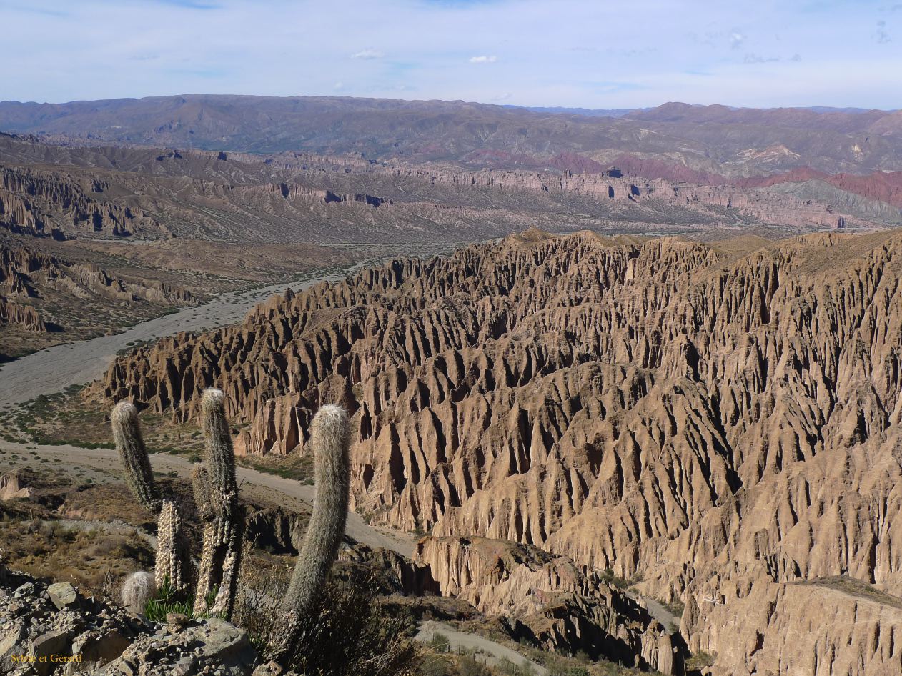 Bolivie Salar d'Uyuni Sud Lipez vers Tupiza   127