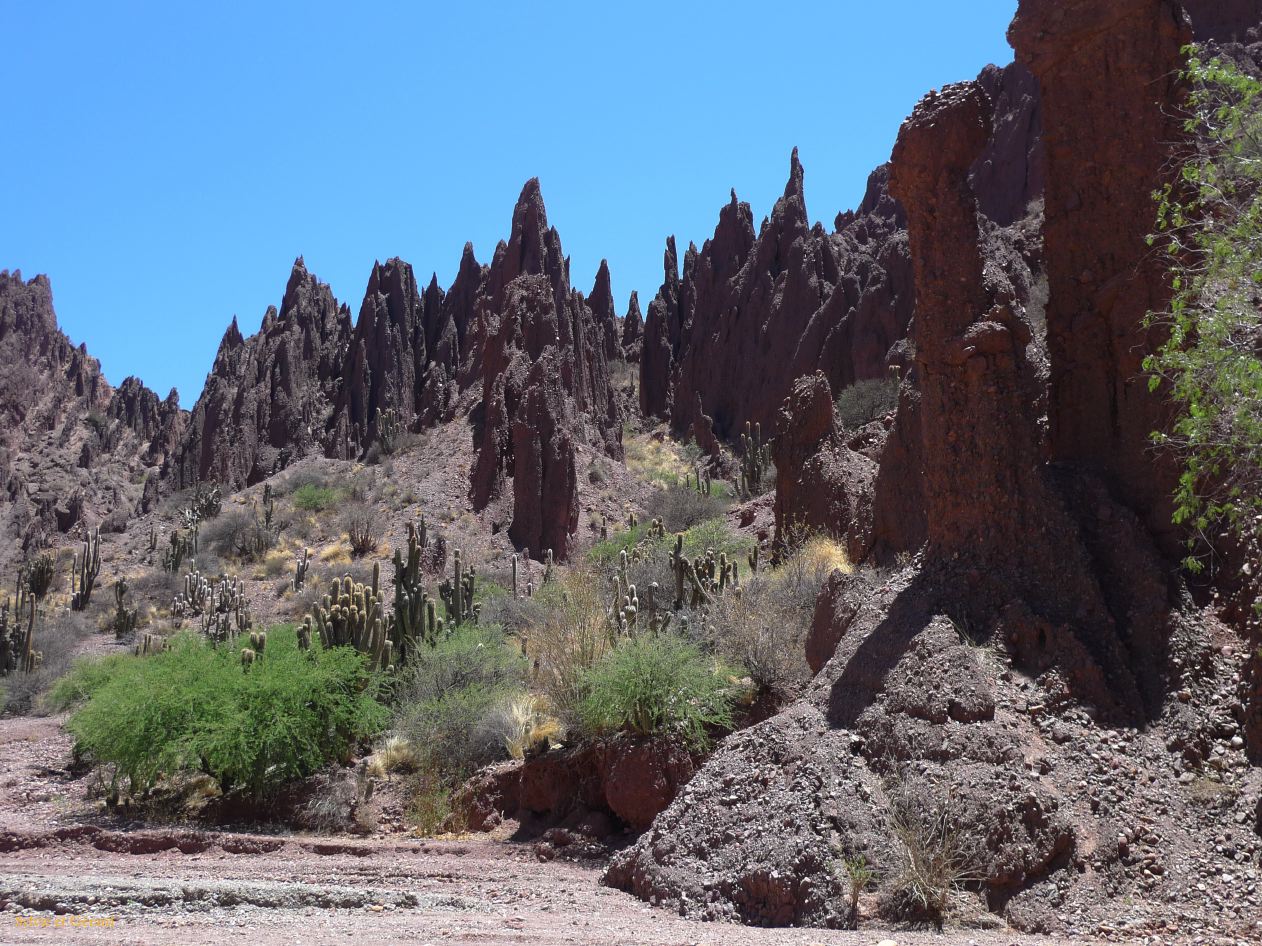 Bolivie Tupiza El Canyon del Inca Los Machos  102