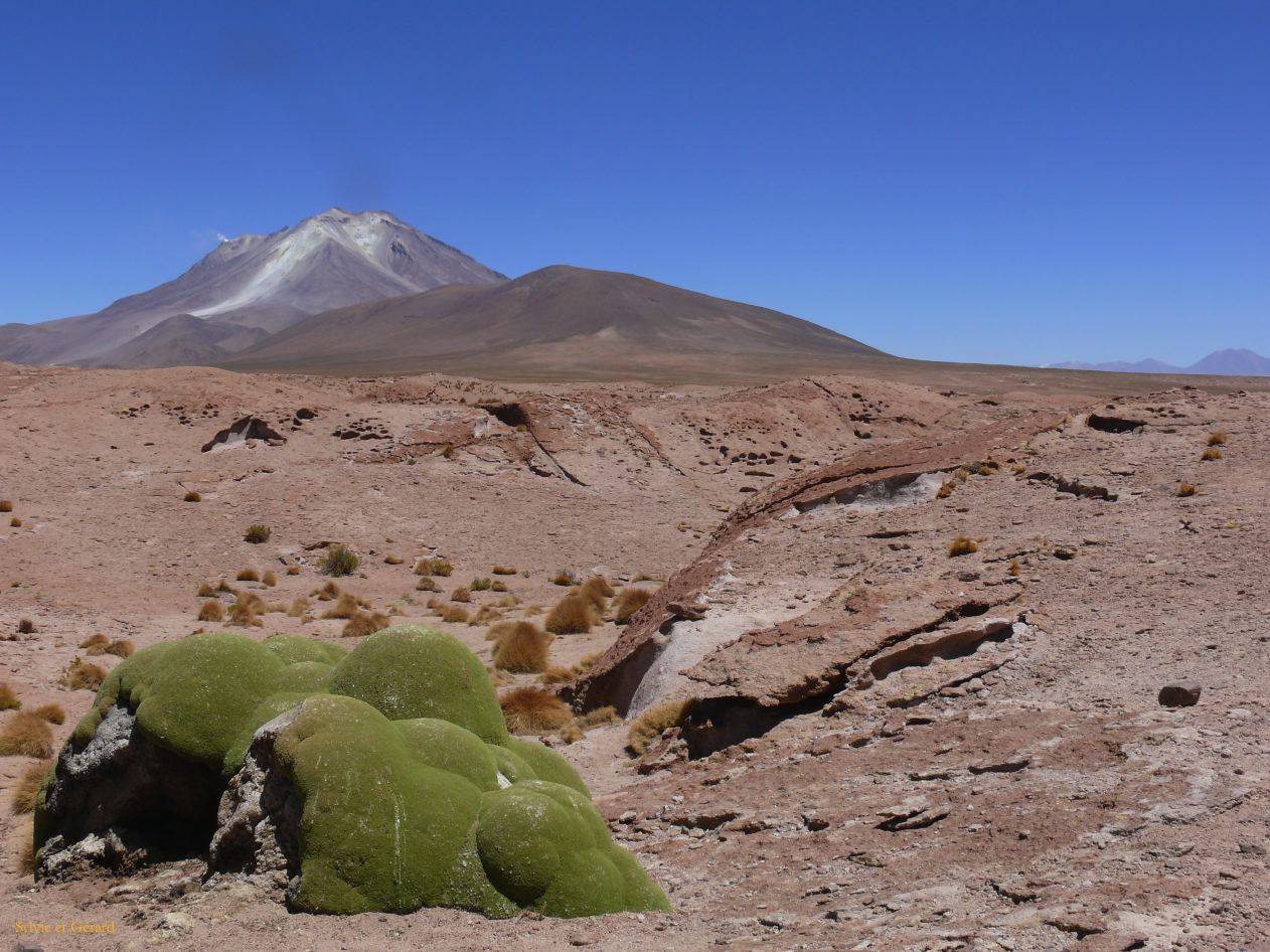 Bolivie Salar d'Uyuni au Volcan Ollague 5865 m  102