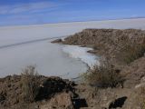 Bolivie Salar d'Uyuni Isla Incahuasi ou Isla des Pescado  111