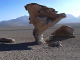 Bolivie Salar d'Uyuni l'Arbol de Piedra  105