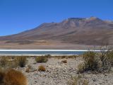 Bolivie Salar d'Uyuni la Laguna Canapa  100