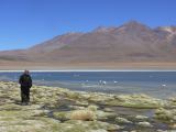 Bolivie Salar d'Uyuni la Laguna Canapa  105