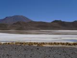 Bolivie Salar d'Uyuni la Laguna Honda  101