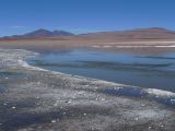 Bolivie Salar d'Uyuni Laguna Hedionda Sur  143