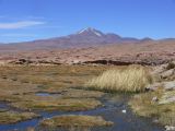 Bolivie Salar d'Uyuni Sud Lipez   101