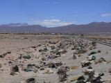 Bolivie Salar d'Uyuni à Uyuni cimetierre des trains et des sachets plastiques  101