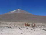 Bolivie Salar d'Uyuni au Volcan Ollague 5865 m  100