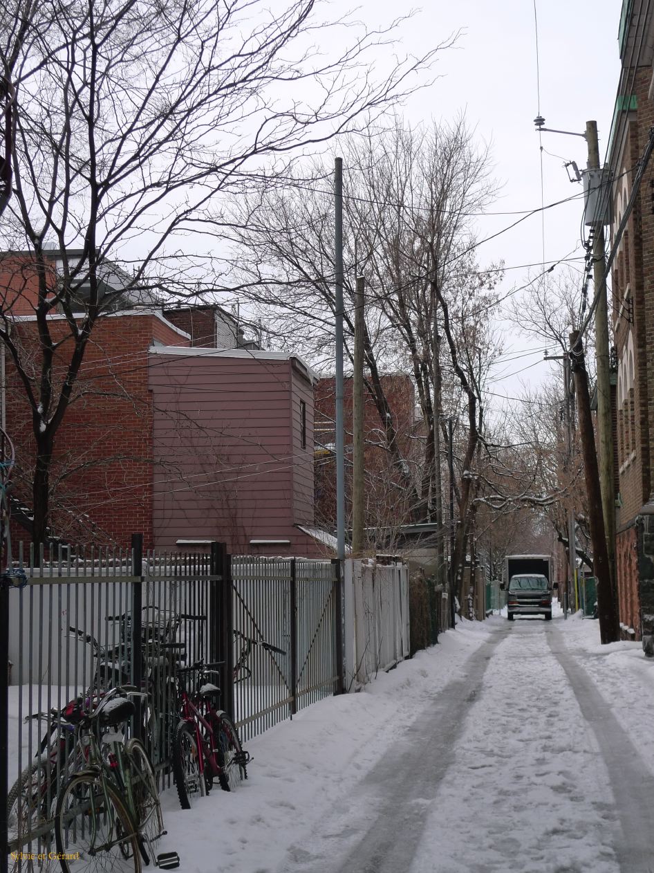 Montreal 042 Plateau Mont Royal