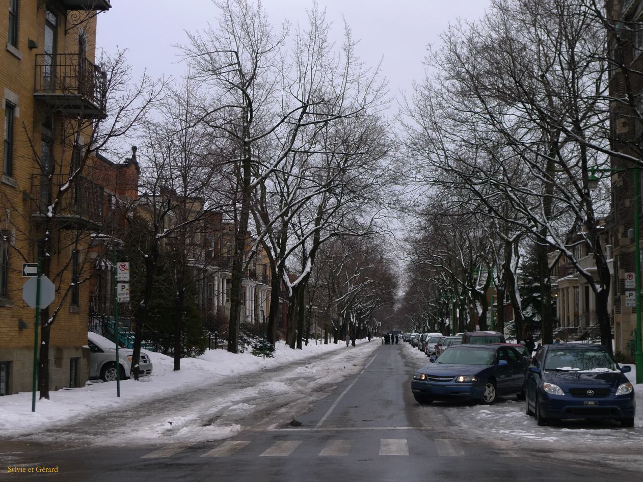 Montreal 045 Plateau Mont Royal