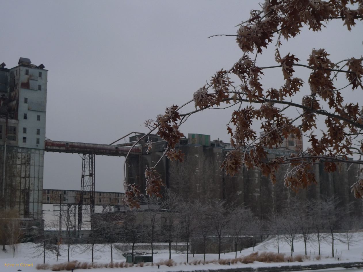 Montreal 090 Vieux Port les silos à grains 