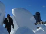 Quebec 12 sculptures de glace