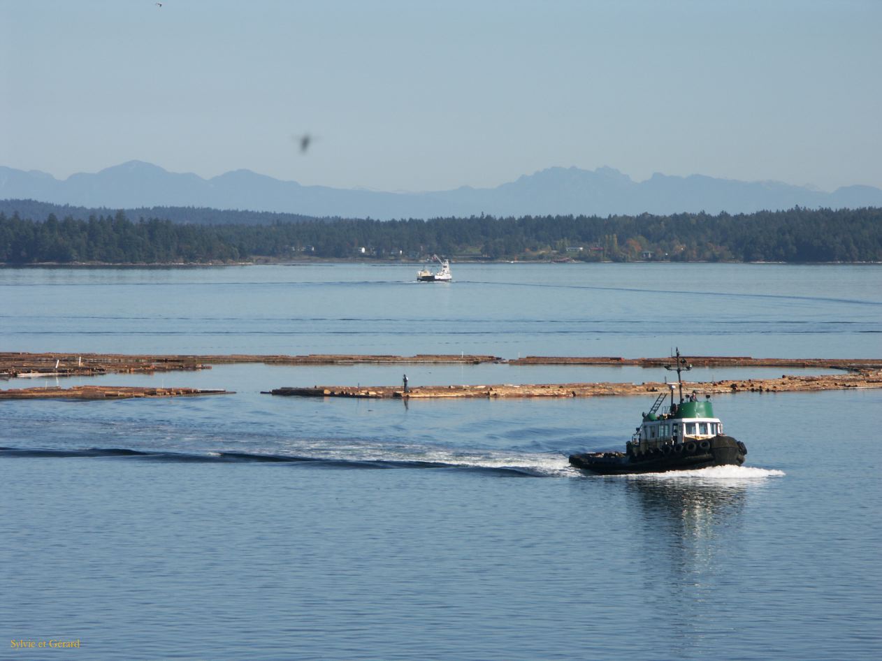 h ile de vancouver 02