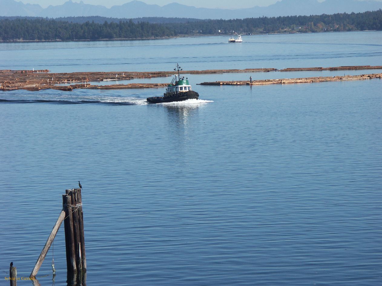 h ile de vancouver 03