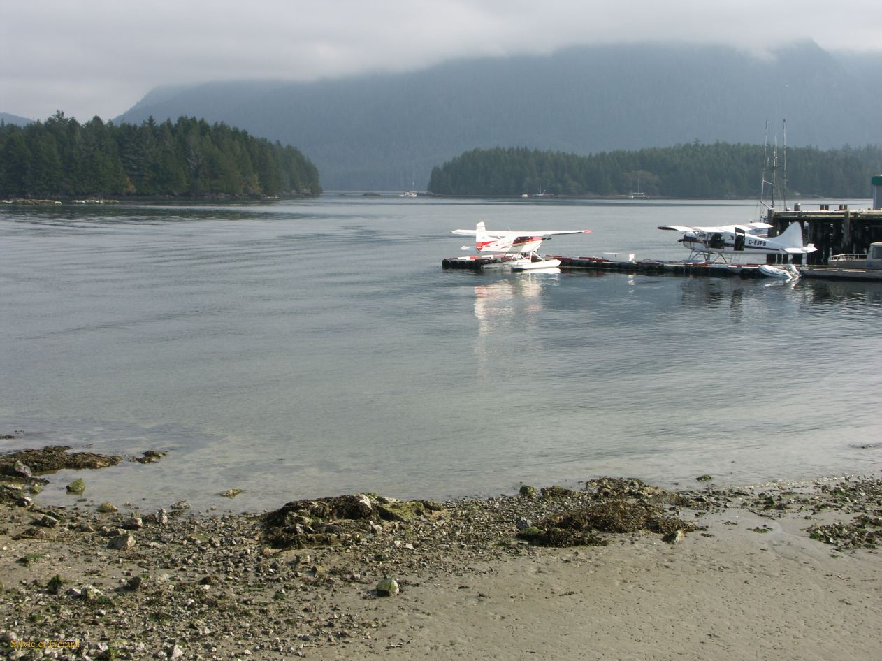 h ile de vancouver 37