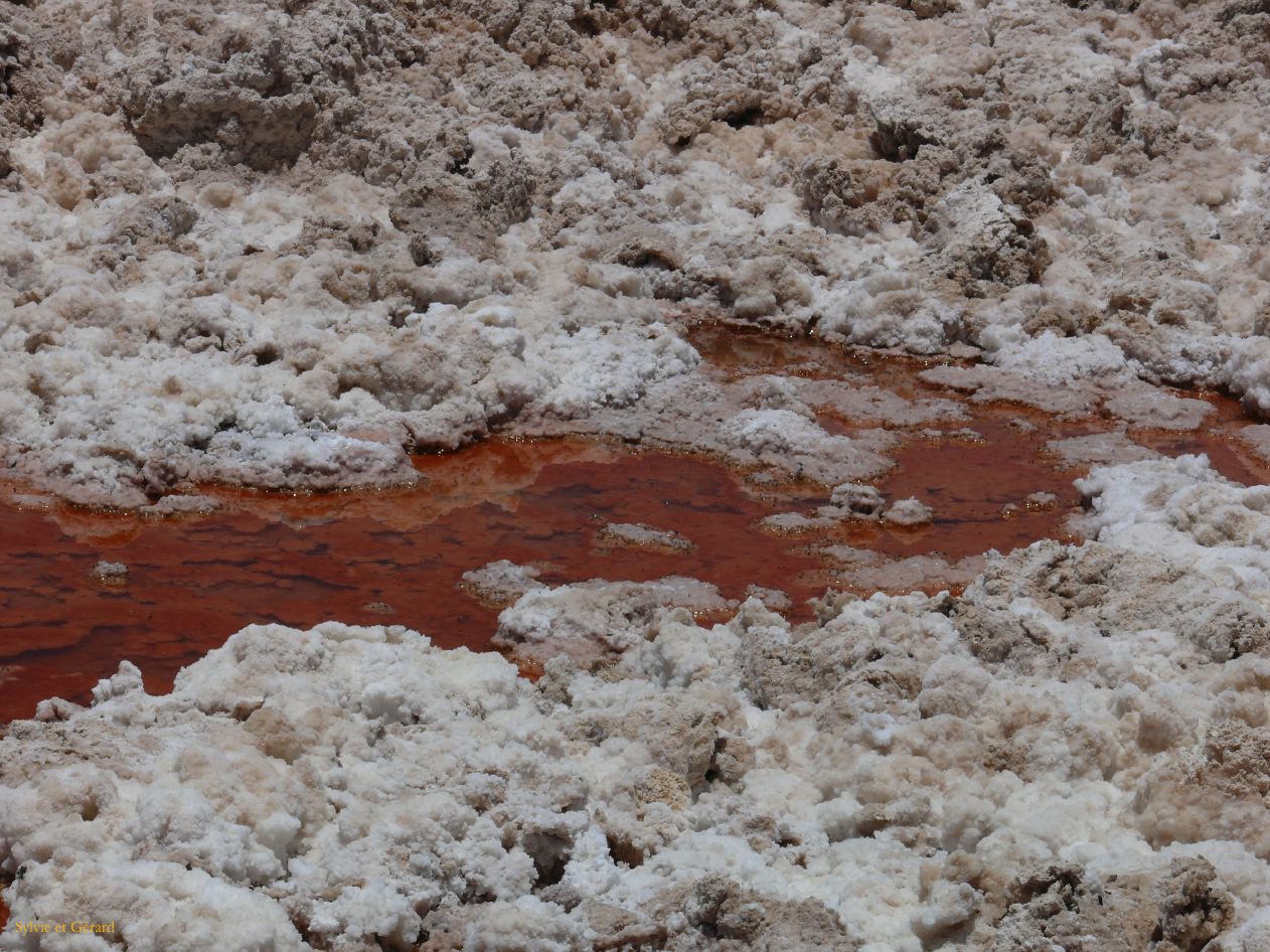 Chili Atacama San Pedro Laguna Chaxa Reserve Nationale les Flamants  106