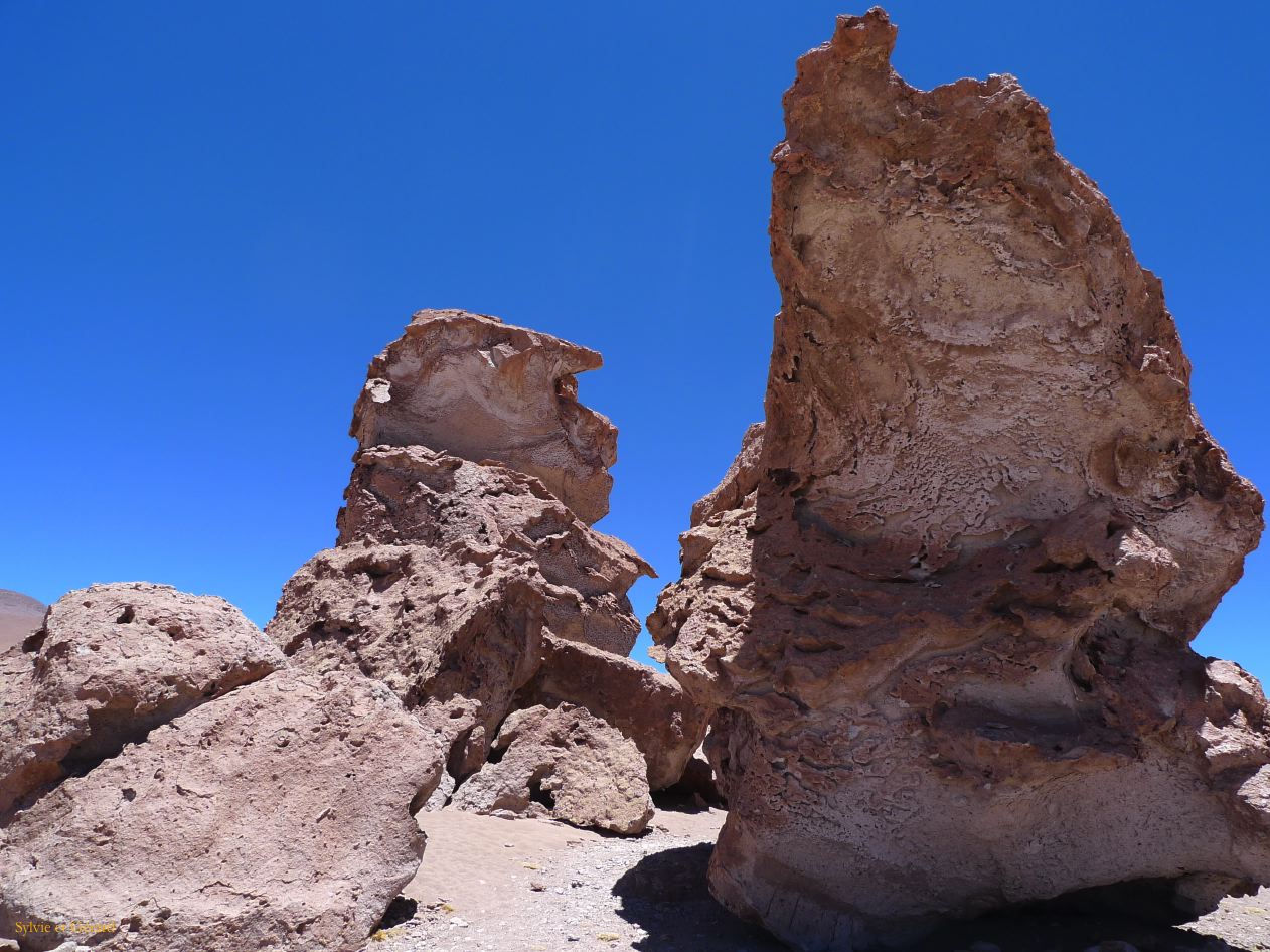 Chili Atacama San Pedro vers la frontière argentine Los Mois  107