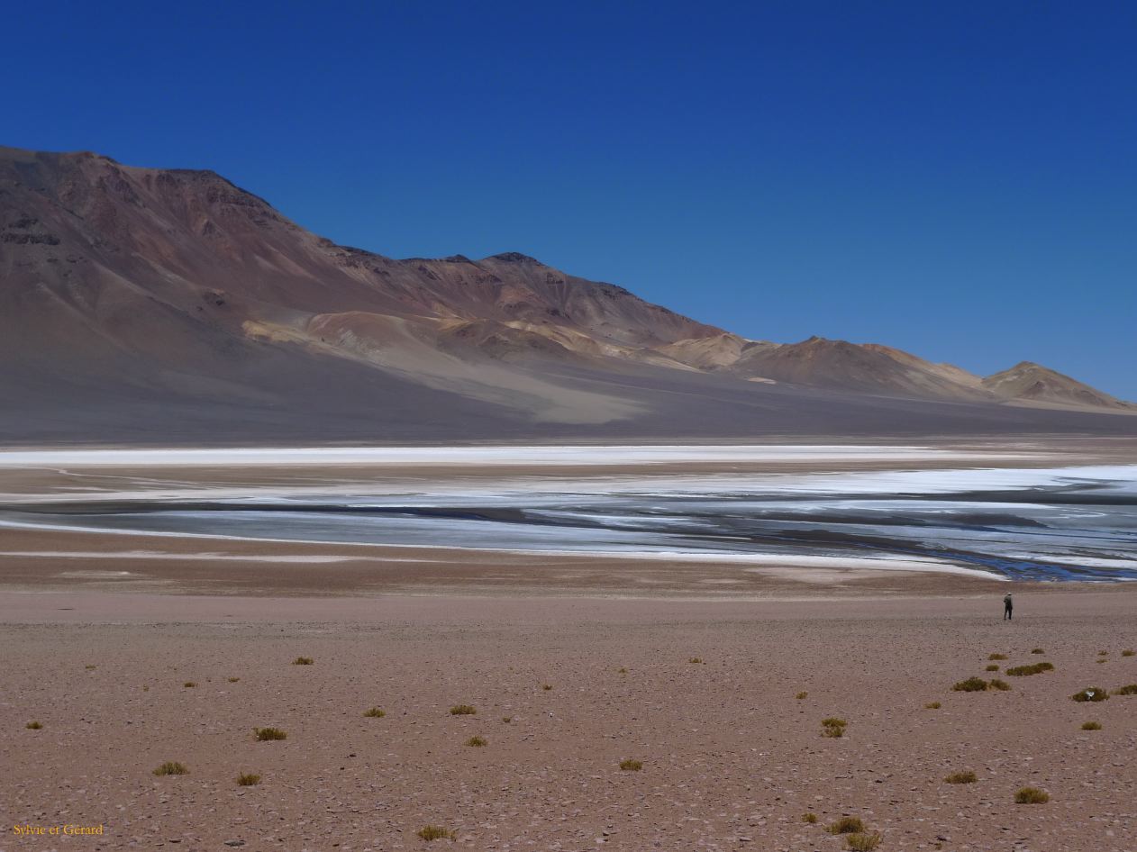 Chili Atacama San Pedro vers la frontière argentine Salar Aguas Calientes  109