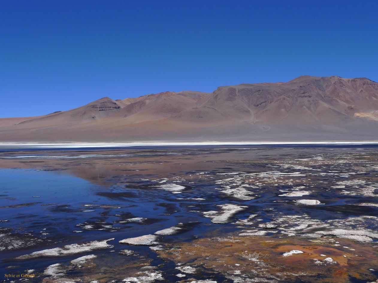 Chili Atacama San Pedro vers la frontière argentine Salar Aguas Calientes  110