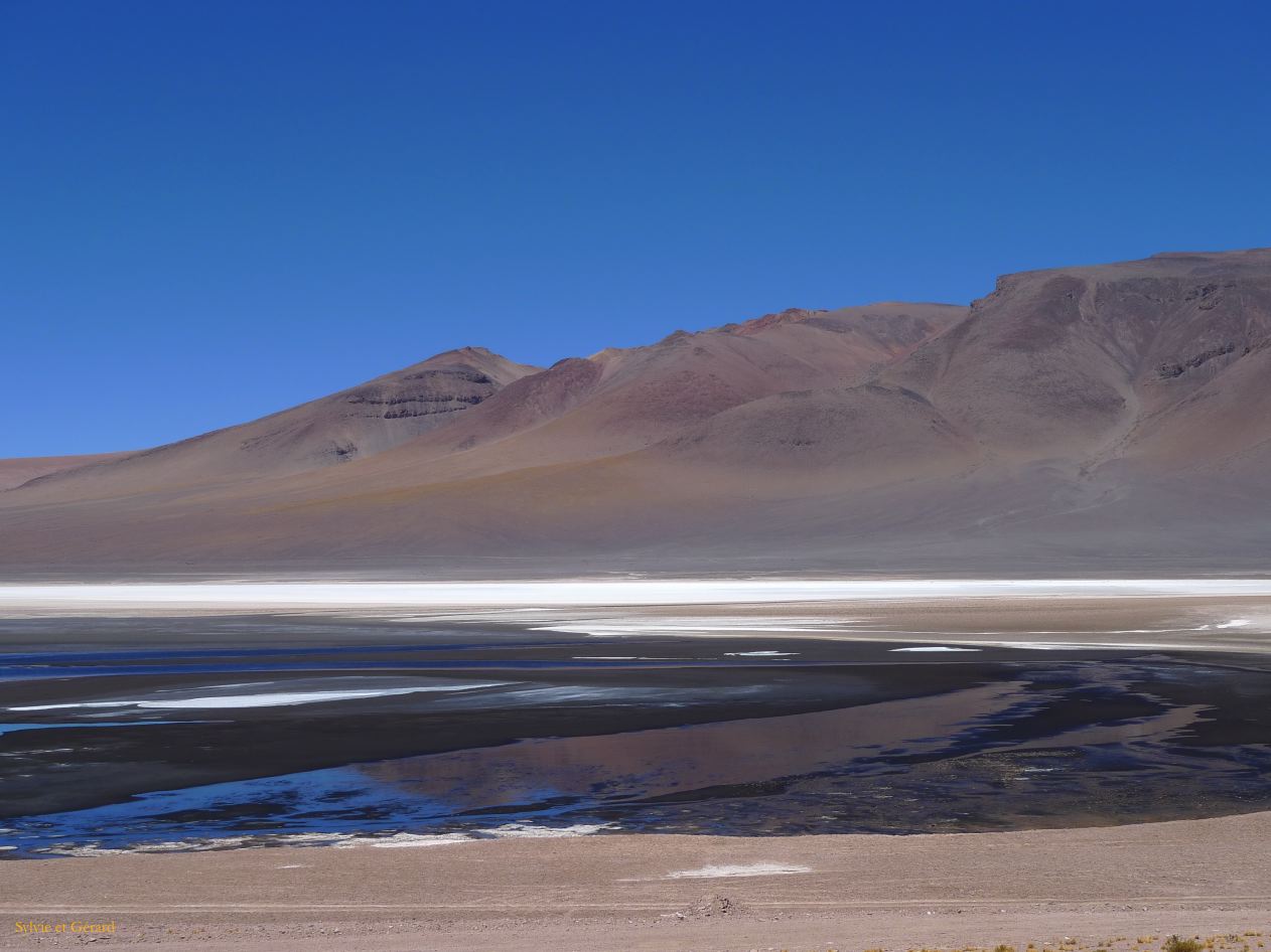 Chili Atacama San Pedro vers la frontière argentine Salar Aguas Calientes  111
