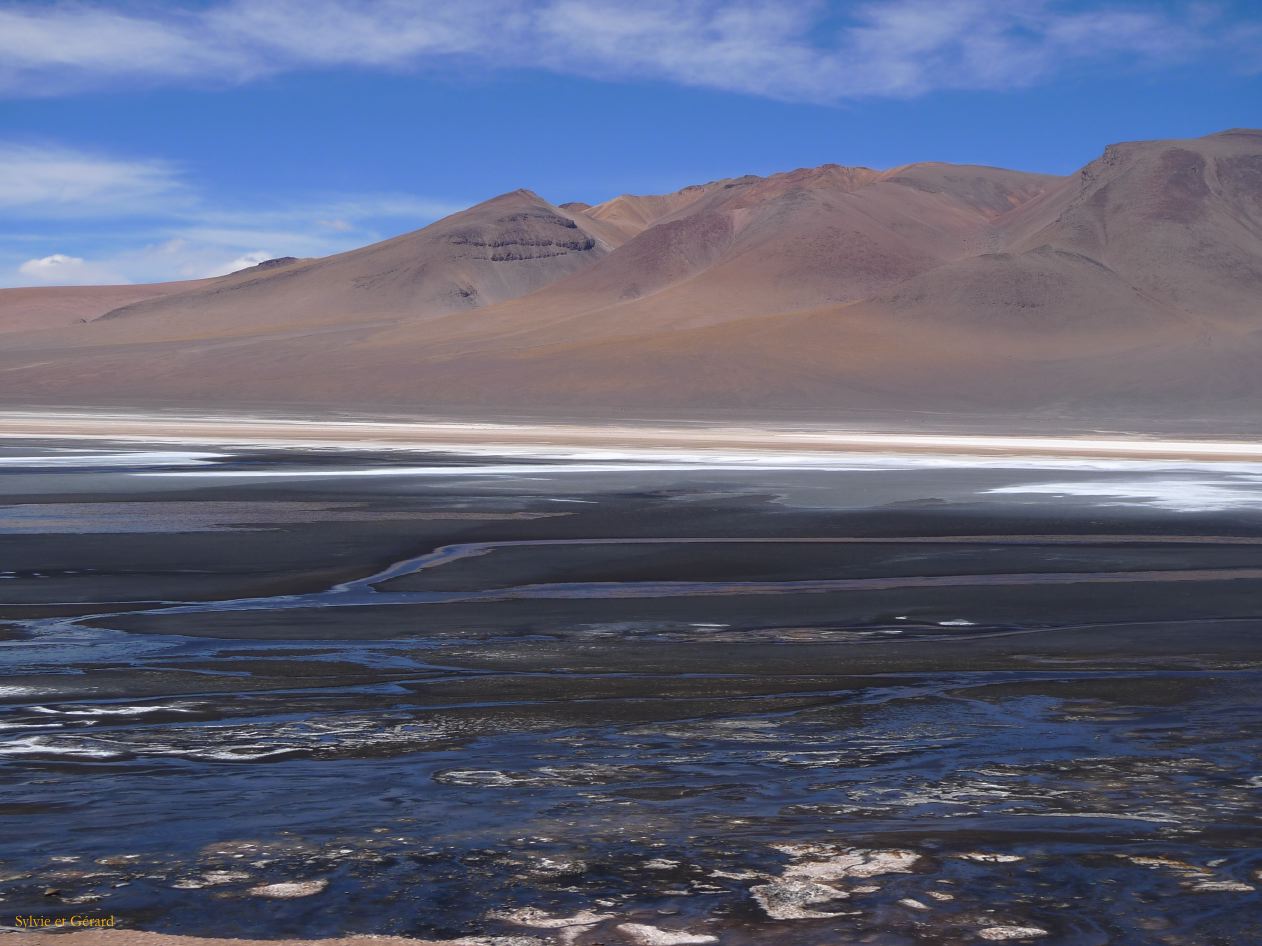 Chili Atacama San Pedro vers la frontière argentine Salar Aguas Calientes  112