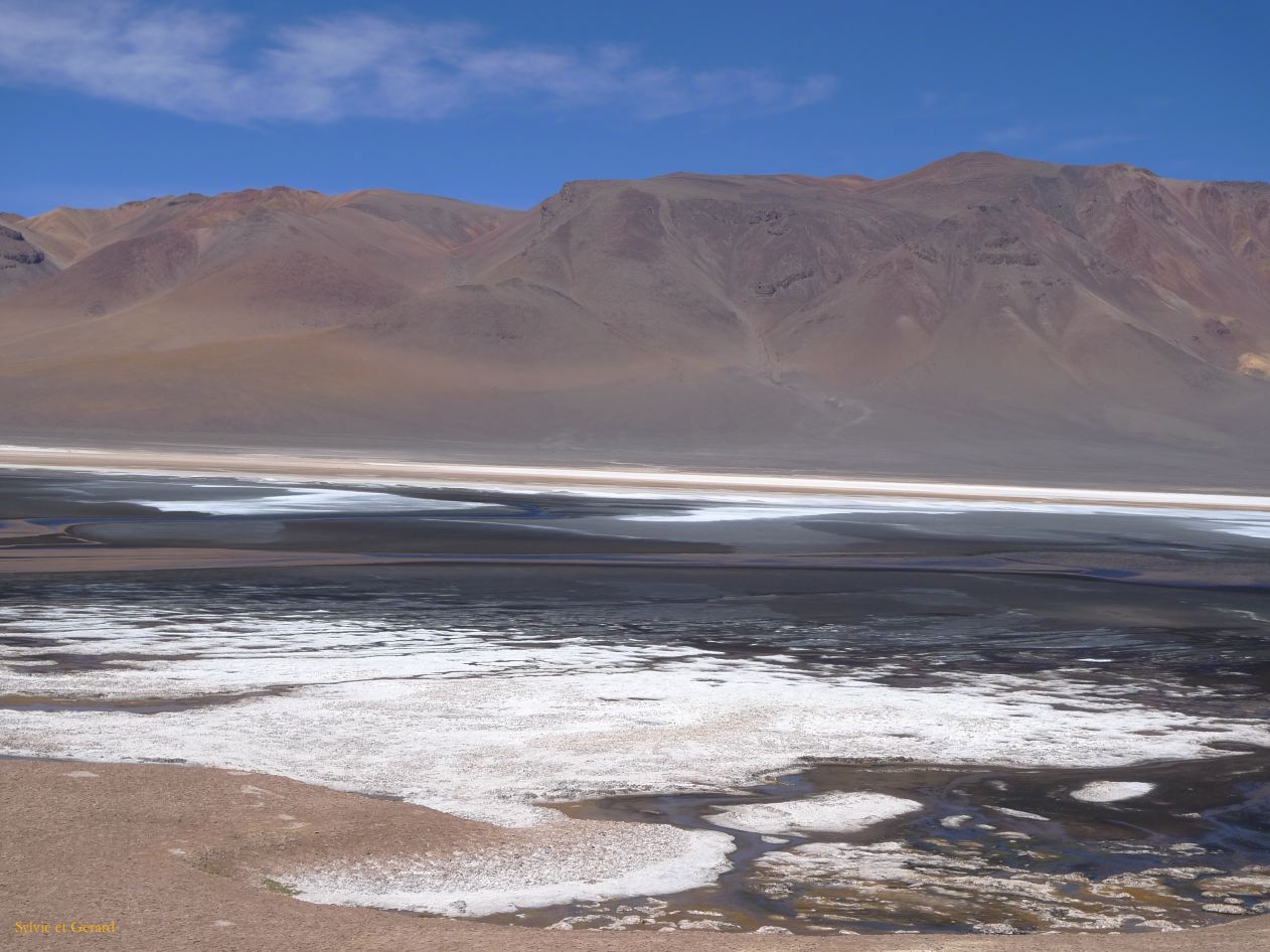 Chili Atacama San Pedro vers la frontière argentine Salar Aguas Calientes  113