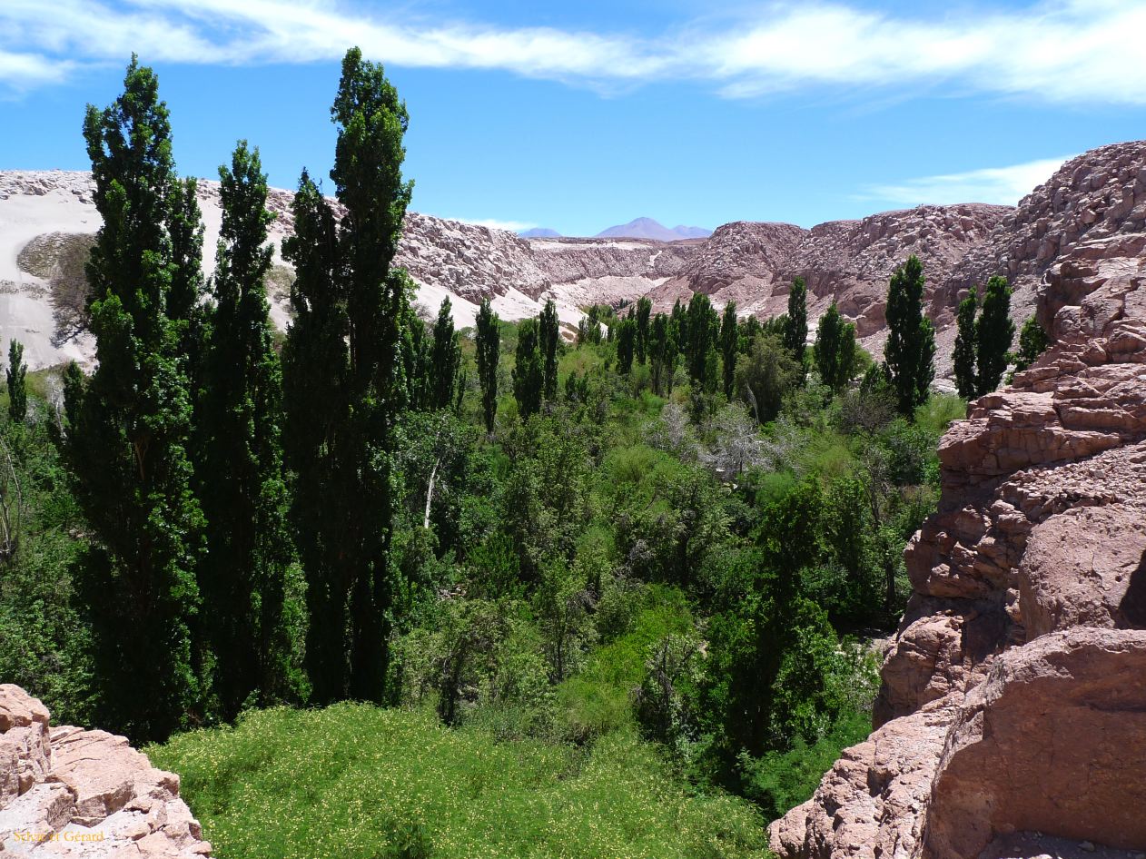Chili Atacama San Pedro village de Toconao la quebrada de Jeres  106