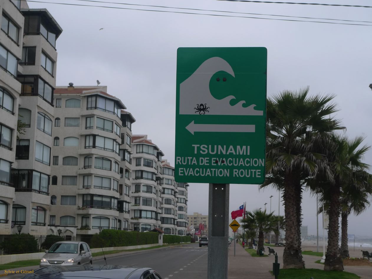 Chili La Serena  002