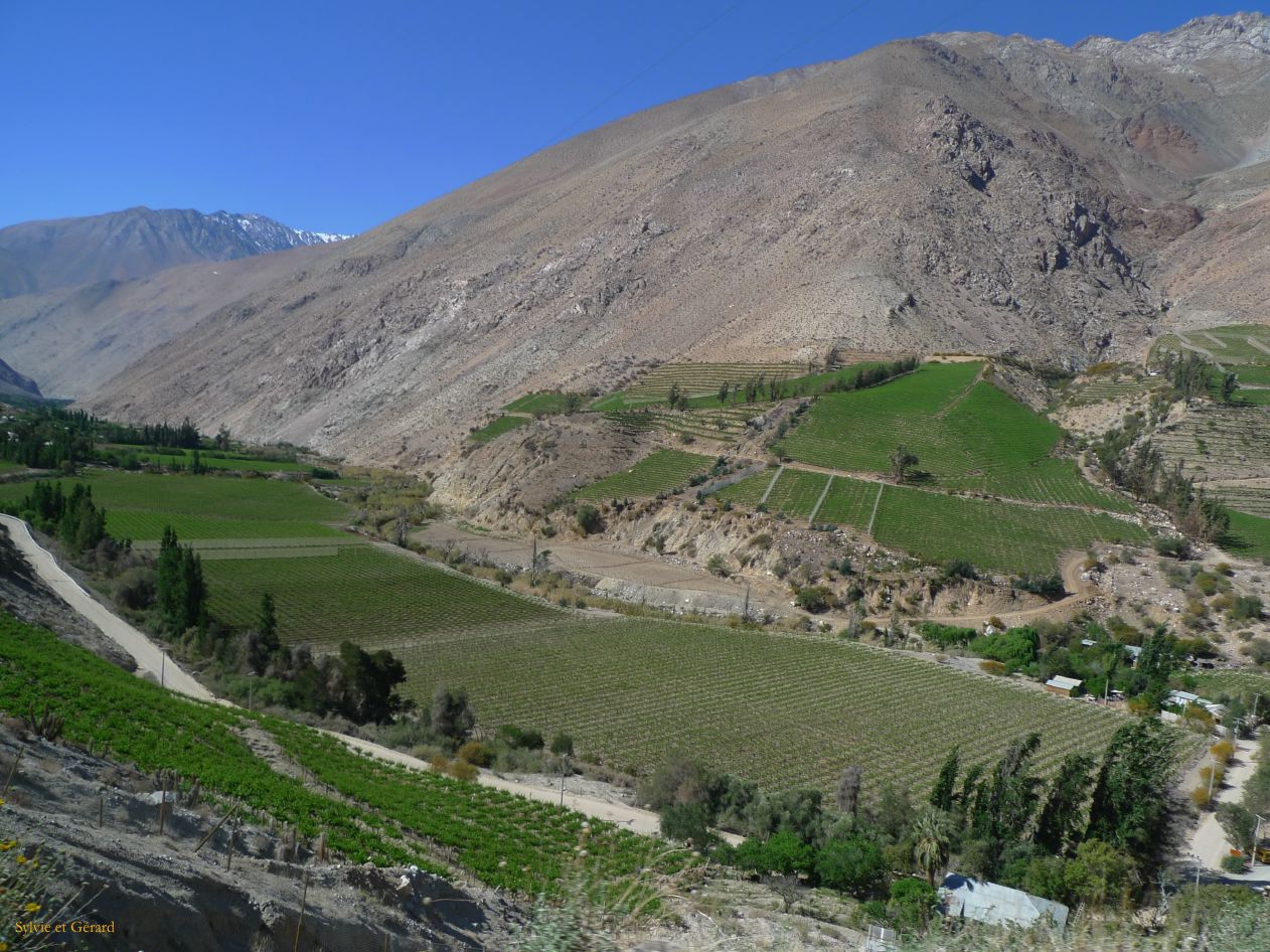 Chili La Serena Vallée d'Equi   003