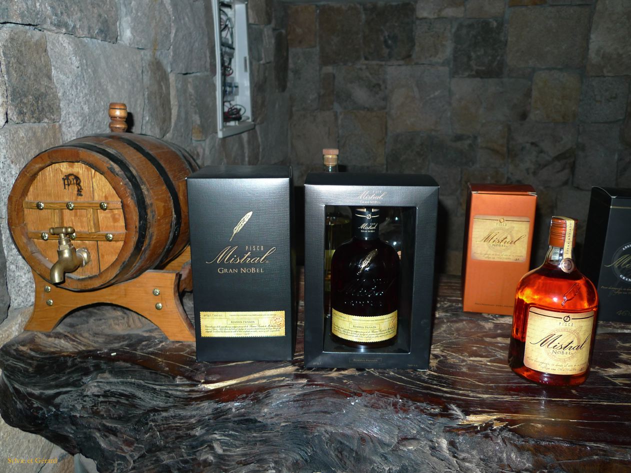 Chili La Serena Vallée d'Equi Distillerie de Pisco Mistral  002