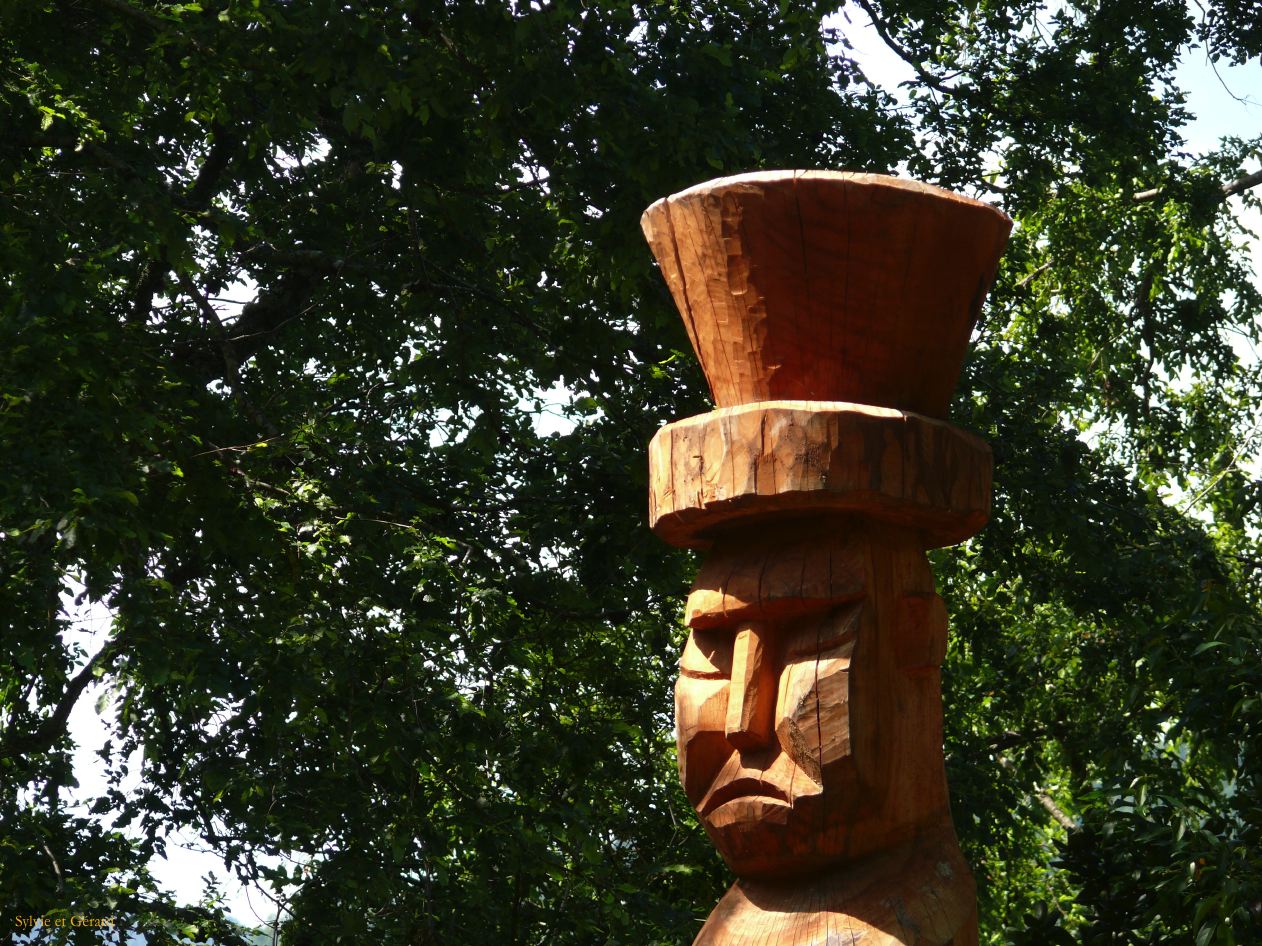 Chili Pucon autour du lac de Lican Ray  101