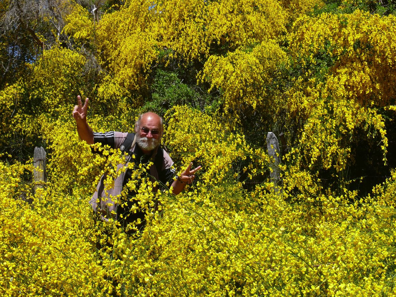 Chili Pucon et le volcan Villarrica  105