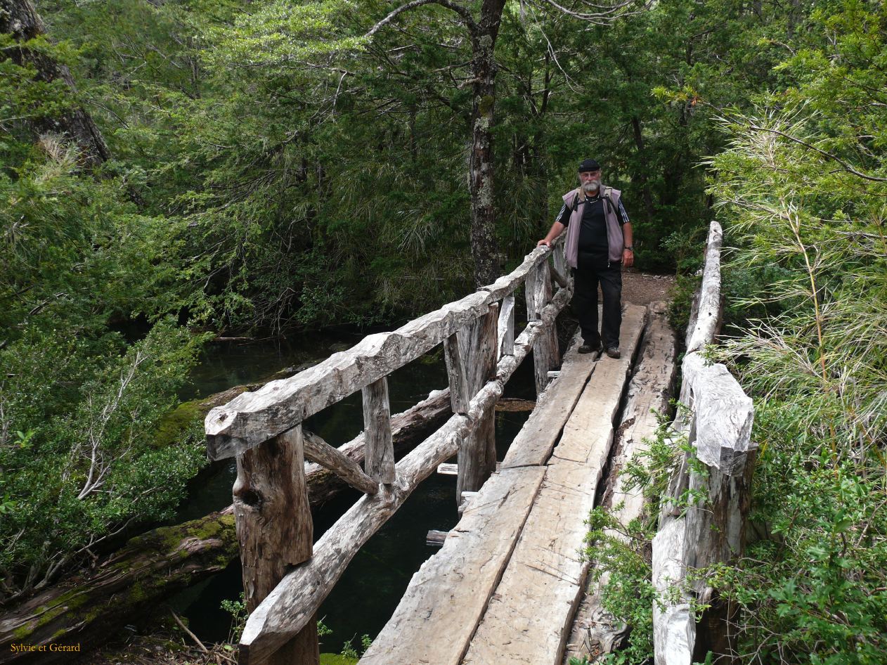Chili Pucon Parc Huerquehue  100